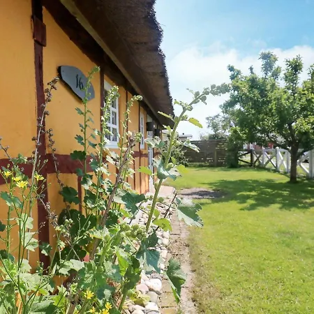 Nyaraló Holiday Xi